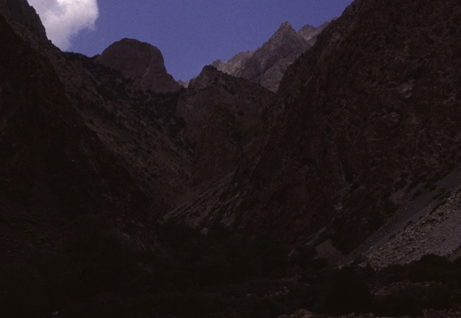 Alai