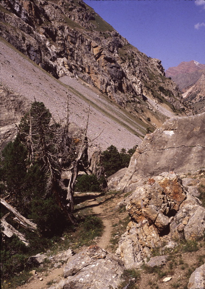 118.jpg