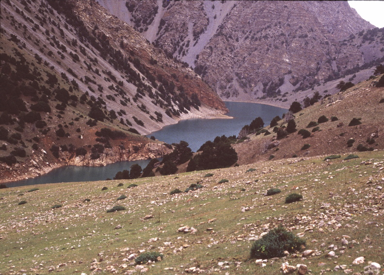 164.jpg