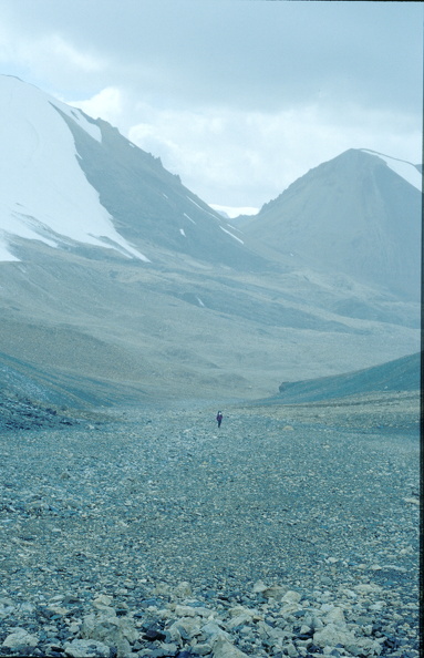 107.jpg
