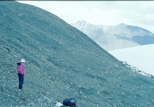 2001