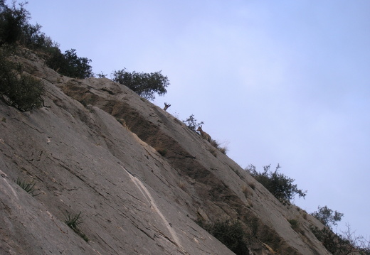P1030177