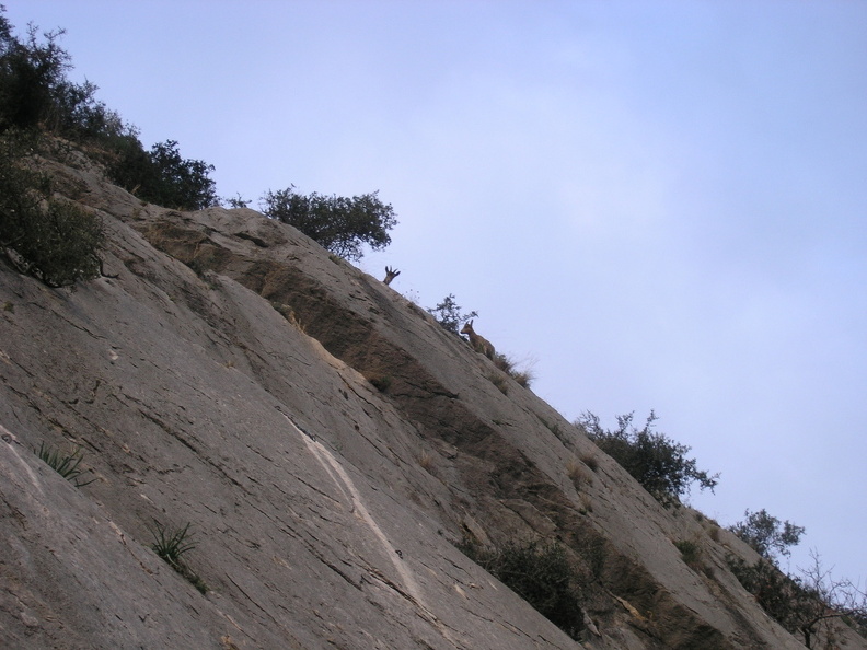 P1030177.JPG