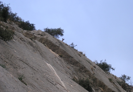 P1030178