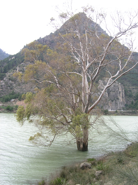 PC280011.JPG