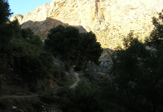 PC300098