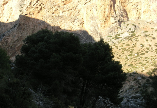 PC300099