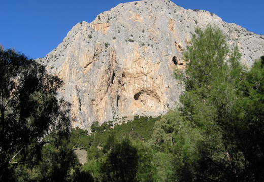 PC310120