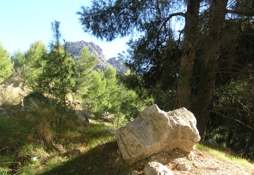 PC310121