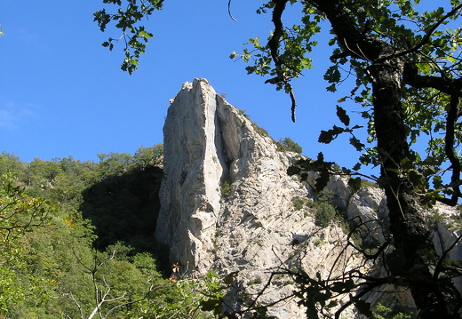 PA010109