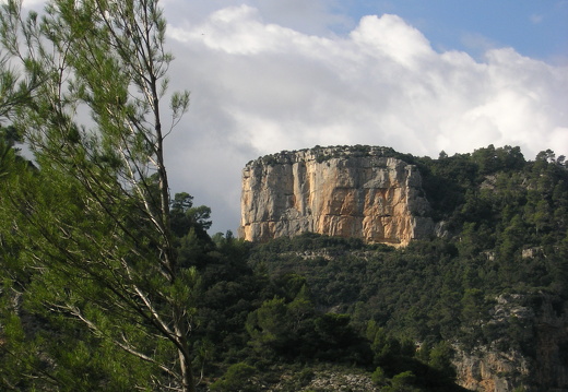 PA060267