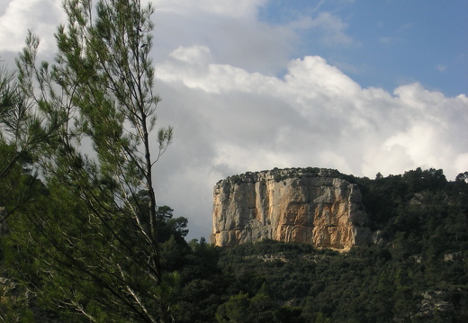 PA060268