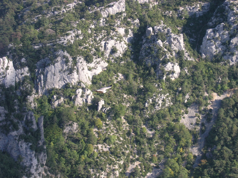 PA090348.JPG