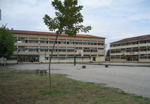 IMG 0005