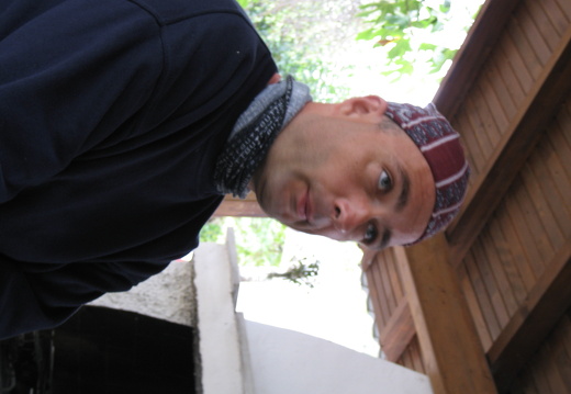 IMG 0010