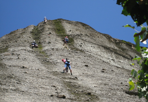 IMG 0110