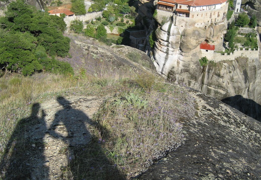 IMG 0135