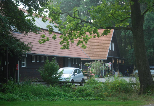 DSC 9518