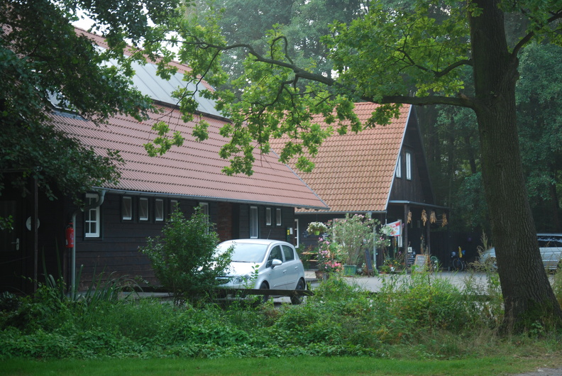 DSC_9518.JPG