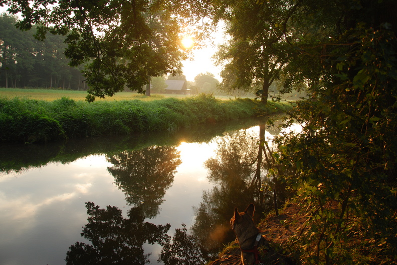 DSC_9523.JPG