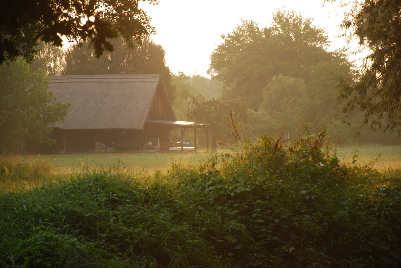 DSC_9531.JPG