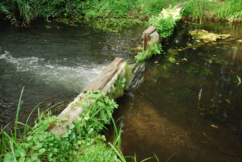 DSC_9606.JPG