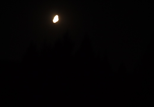 P1030653