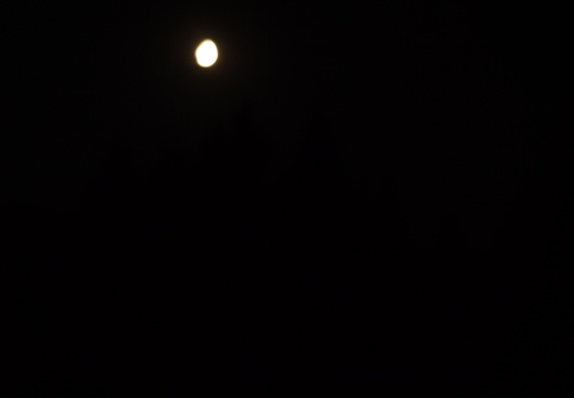 P1030654