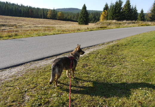 P1030665