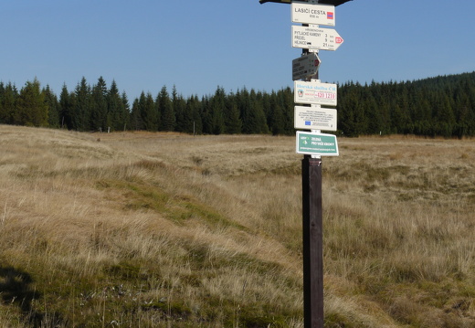 P1030677
