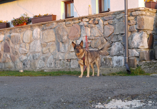 P1030750