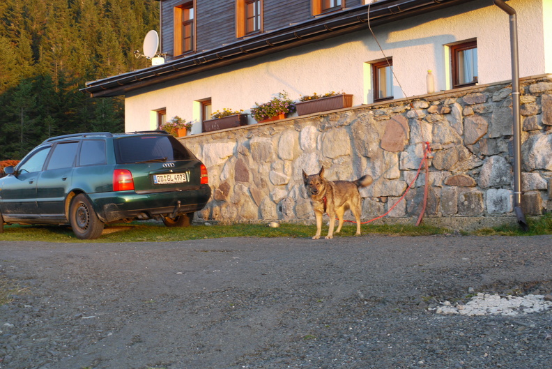 P1030752.JPG