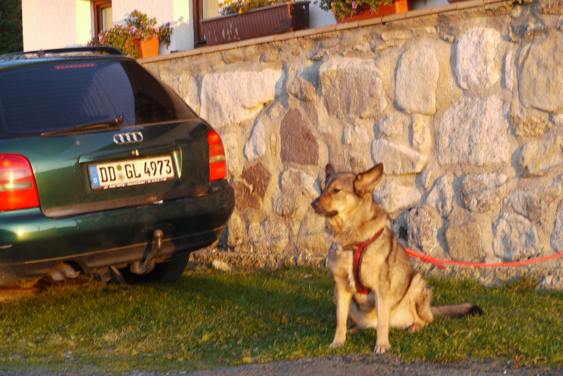 P1030764.JPG
