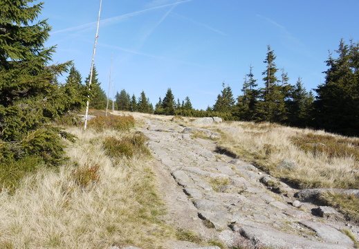 P1030778