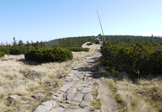 P1030803