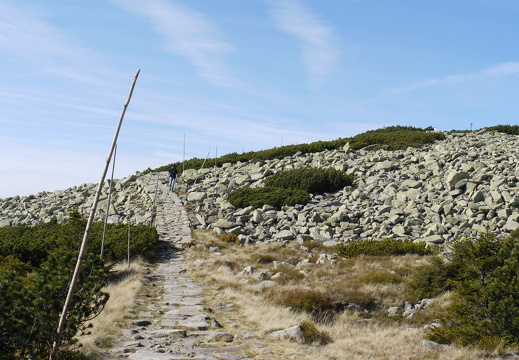 P1030809