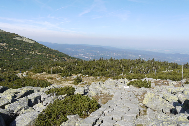 P1030820.JPG