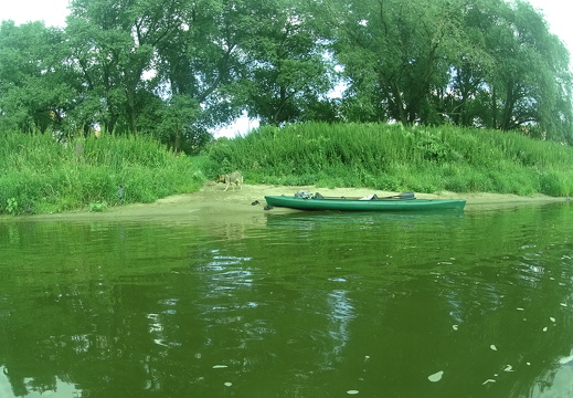 DSC01951