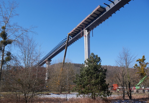 P1010537