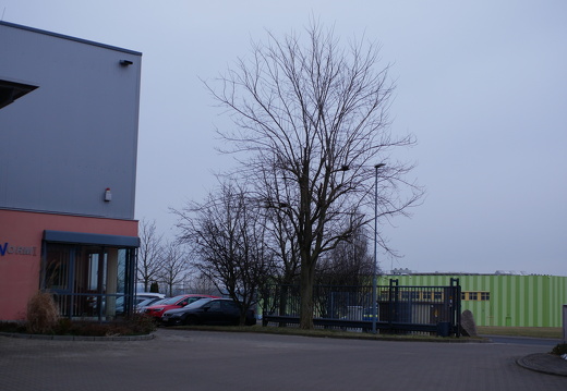 P1010545