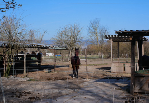 P1010567