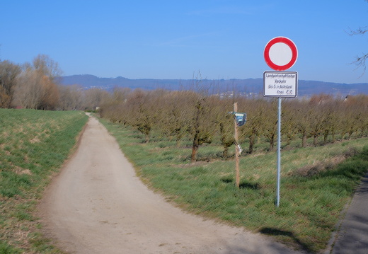 P1010568