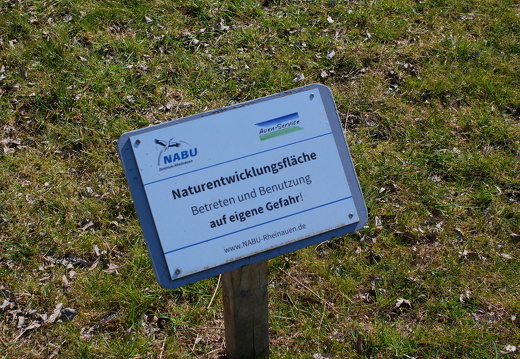 P1010583