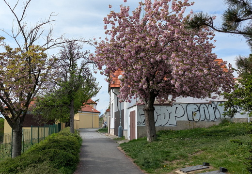 PXL 20250423 132831502